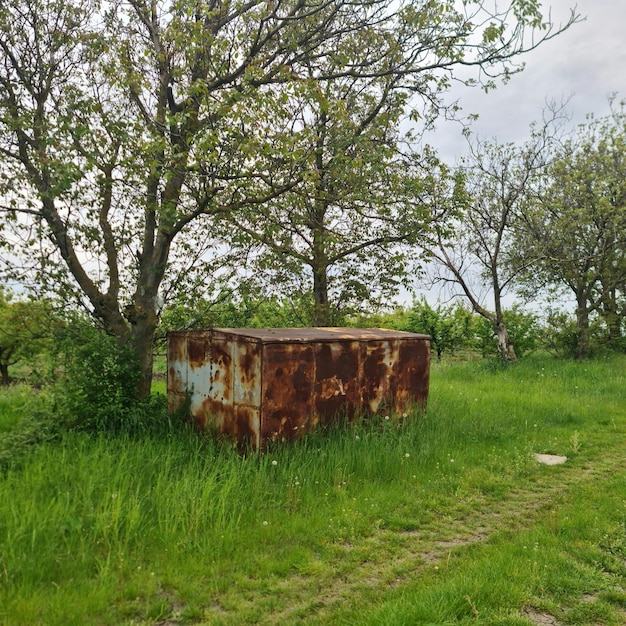 Una scatola arrugginita è nell'erba vicino a un albero.