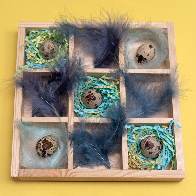 Una scatola con uova di quaglia naturali su nidi e piume