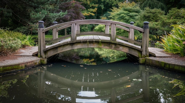 Una scena armoniosa mentre il ponte di legno proietta un riflesso simmetrico nelle acque tranquille del