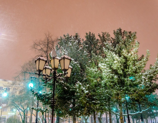 Una scena innevata di un parco con alberi e luci