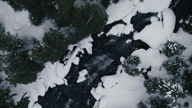 Una scena invernale con la neve sul terreno e un fiume