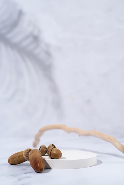 Una scena minimalista di un podio con legno e ghiande su sfondo bianco per cosmetici naturali