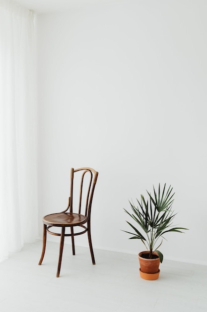 una sedia di legno si trova davanti a una pianta in vaso.