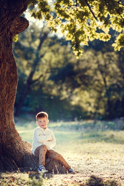 Una serie di foto di bambini dai capelli rossi. Ragazza e ragazzo in natura, tramonto, autunno. Tempo felice