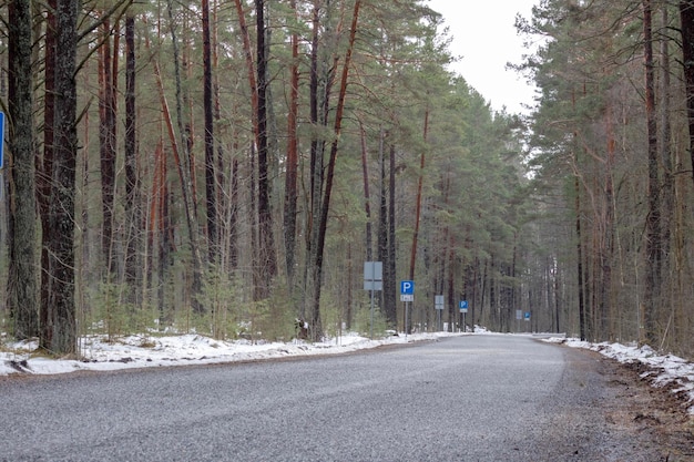Una sezione tortuosa di strada asfaltata attraverso la foresta con molti segnali di parcheggio sul lato della strada