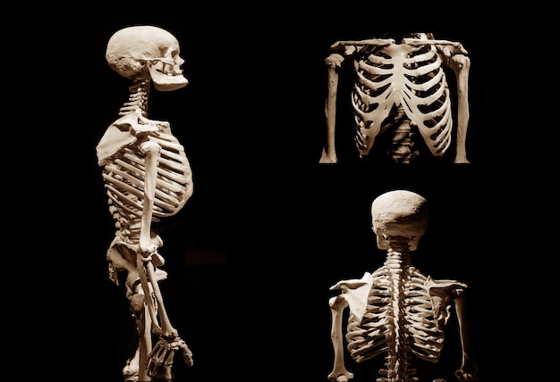 Una silhouette nera di un uomo e una donna in piedi uno accanto all'altro.