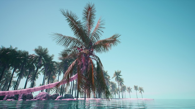 Una spiaggia con le palme e il cielo