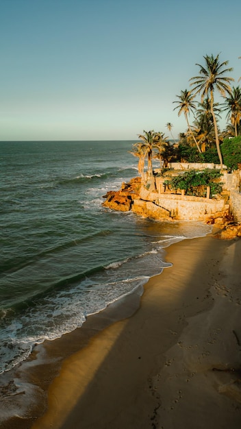 Una spiaggia con le palme e l'oceano sullo sfondo