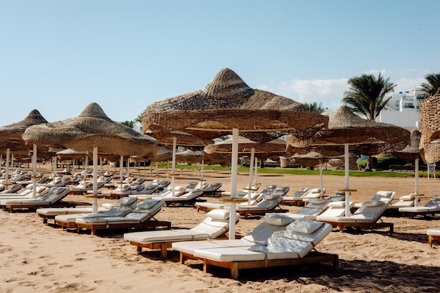 Una spiaggia con ombrelloni e sdraio