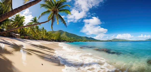 Una spiaggia con palme e montagne sullo sfondo