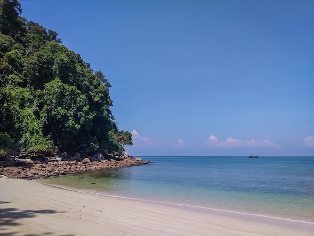 Una spiaggia con un cielo blu e una spiaggia di sabbia bianca con un albero verde in primo piano.