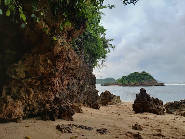 Una spiaggia con una formazione rocciosa e un albero sullo sfondo