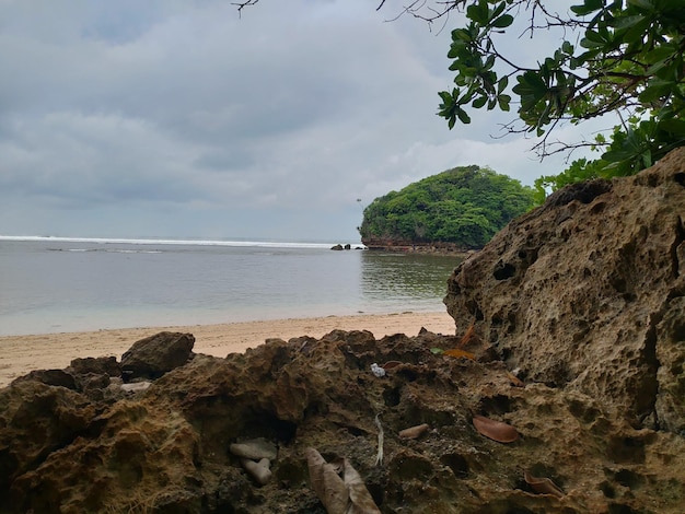 Una spiaggia con una formazione rocciosa e un albero sullo sfondo