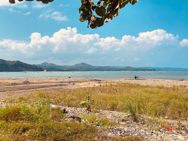 Una spiaggia con vista mare e montagne sullo sfondo