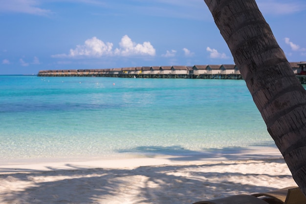 Una spiaggia con vista sulle Maldive