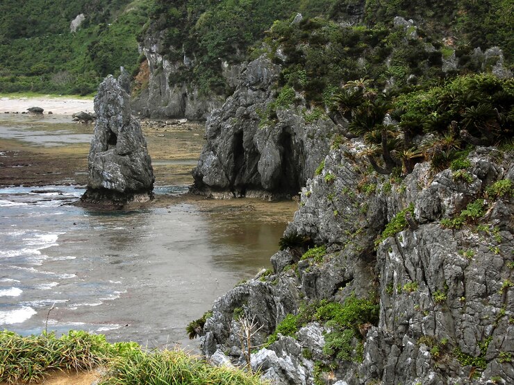 Una spiaggia rocciosa a Okinawa con un fiume e rocce in primo piano.