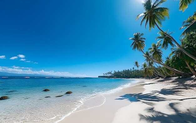 Una spiaggia sabbiosa con palme e acqua cristallina