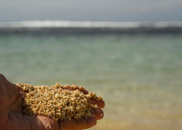 Una spiaggia sabbiosa