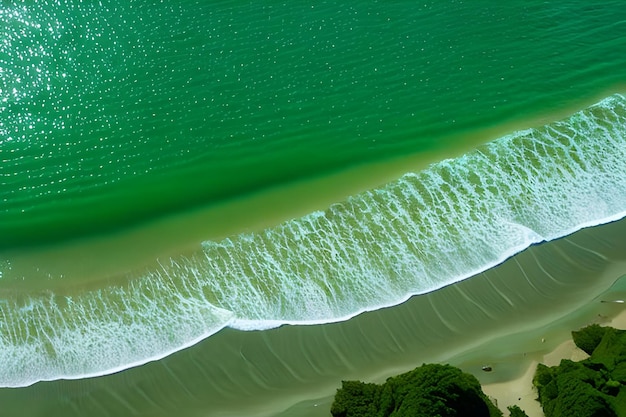 Una spiaggia verde con le onde e l'oceano sullo sfondo