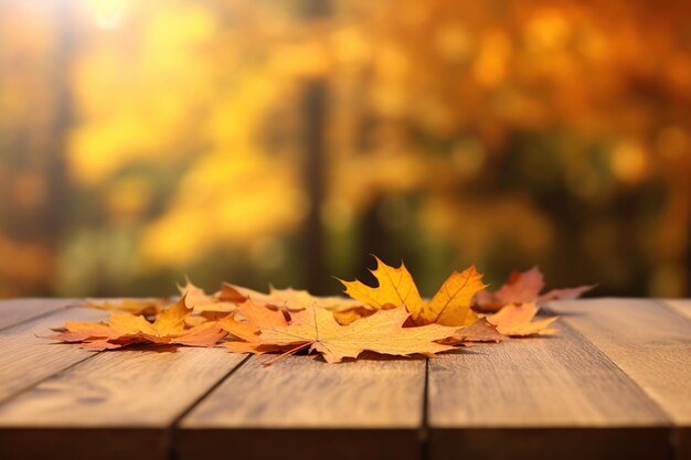 Una splendida immagine di paesaggio autunnale adornata da foglie gialle e bagnata dalla luce solare