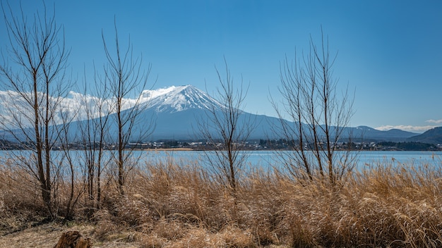 Una splendida vista del Monte Fuji