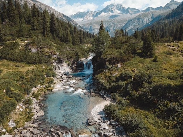 Una splendida vista sul lago MALGA BISSINA e sulla Val di fumo