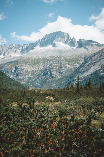 Una splendida vista sul lago MALGA BISSINA e sulla Val di fumo