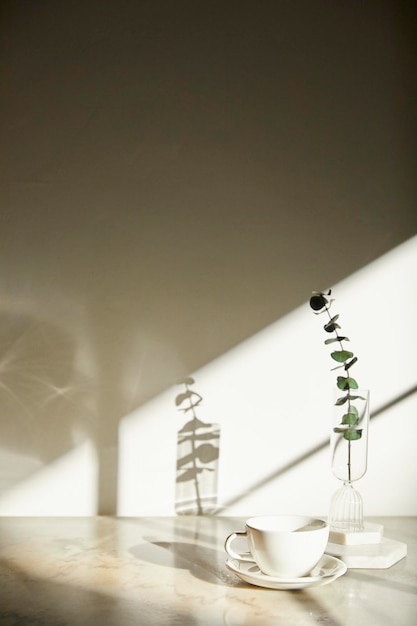 Una stanza con vari oggetti come la calda luce del sole ombre d'erba lascia un vaso su un tavolo e c