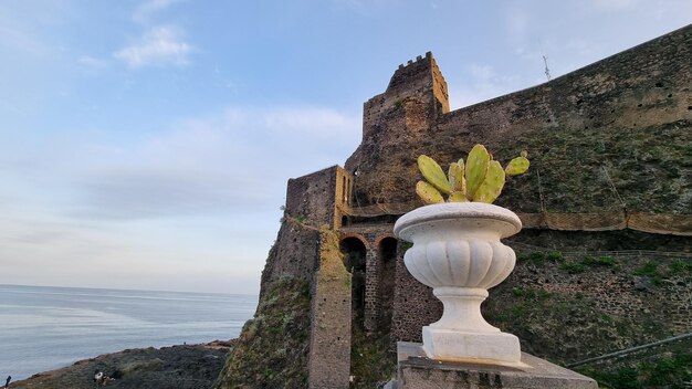 Una statua di pietra di banane si trova di fronte a un castello.