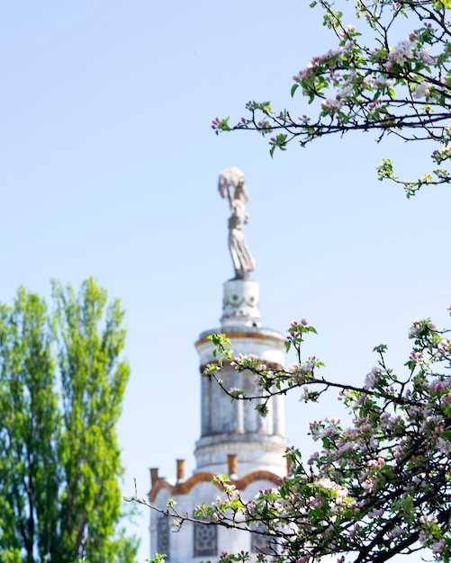 Una statua di una donna è sullo sfondo di un edificio con un albero in primo piano.