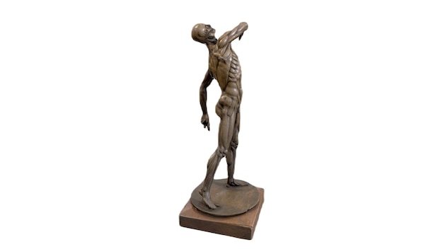 Una statua in bronzo di un uomo con una figura muscolosa su di essa.