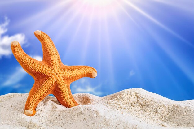 Una stella marina arancione si erge sulla spiaggia di sabbia I raggi del sole sono nel cielo