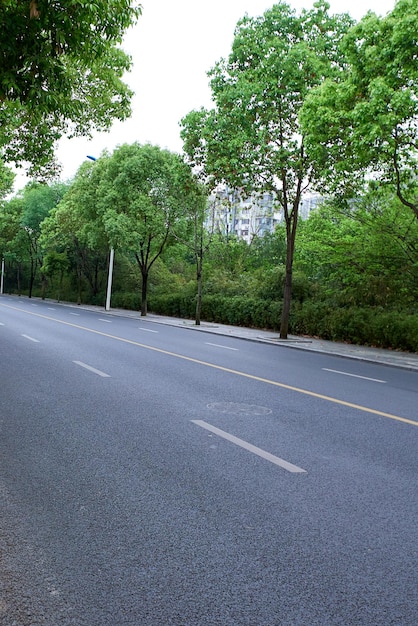 Una strada asfaltata piena di alberi stradali