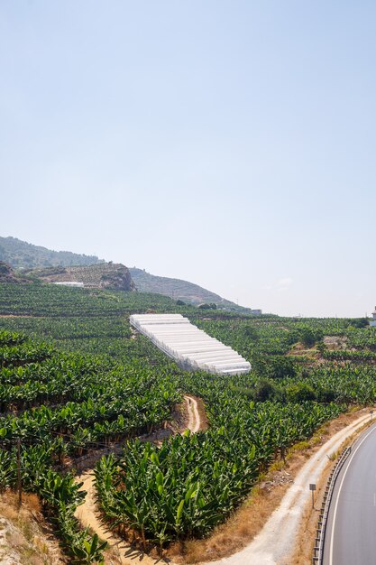 Una strada asfaltata vuota si snoda lungo la costa panoramica mozzafiato in una soleggiata giornata estiva. Uno scatto spettacolare di una strada costiera che si affaccia sul cielo azzurro e sul calmo Mar Mediterraneo.