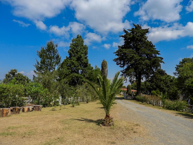 Una strada che conduce alla villa