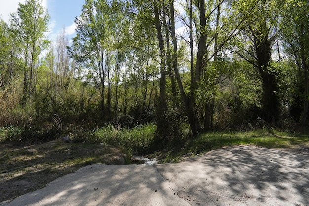 Una strada che porta in cima alla collina