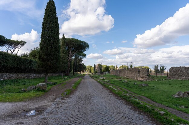 Una strada con un albero sul lato e un cielo nuvoloso