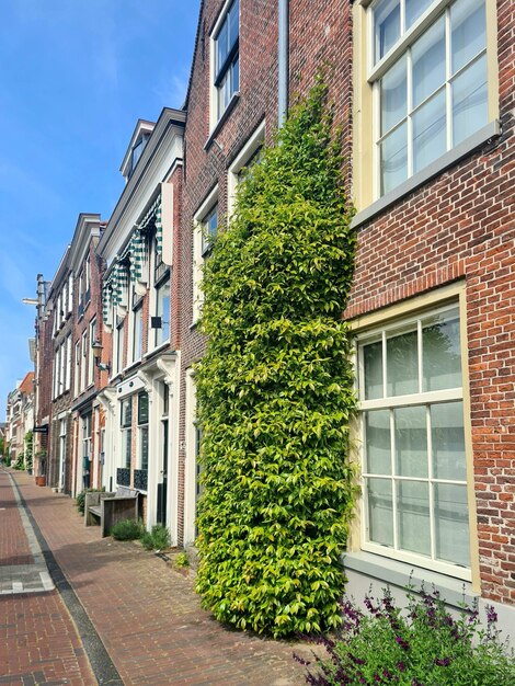 Una strada con un edificio di mattoni e un'edera verde sul lato