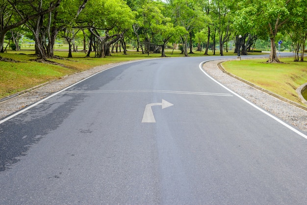 Una strada curva di verde fresco