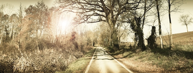 Una strada di campagna in autunno