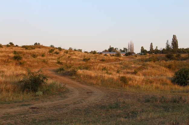 Una strada di terra attraverso un campo