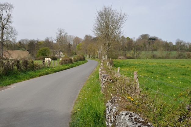 Una strada in campagna normanna