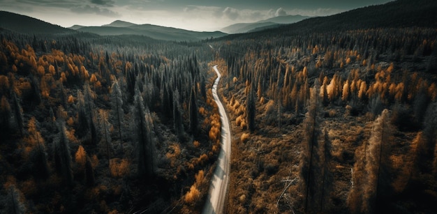 Una strada nel mezzo di una foresta con una montagna sullo sfondo