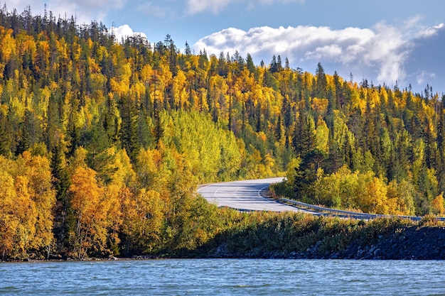 Una strada nella foresta autunnale sulla riva di un lago nel nord della Russia.