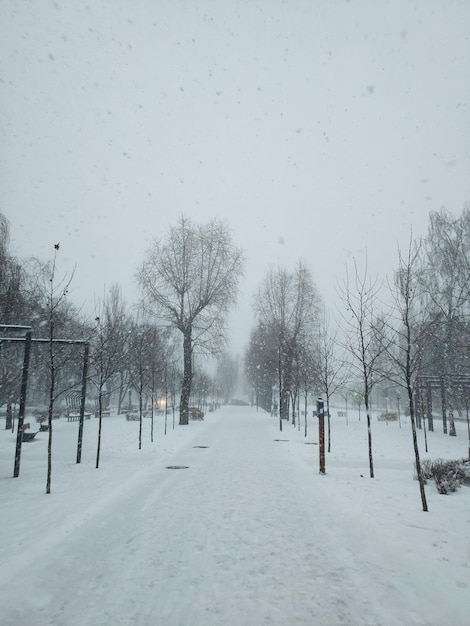 Una strada nella neve in inverno nevicate durante il giorno