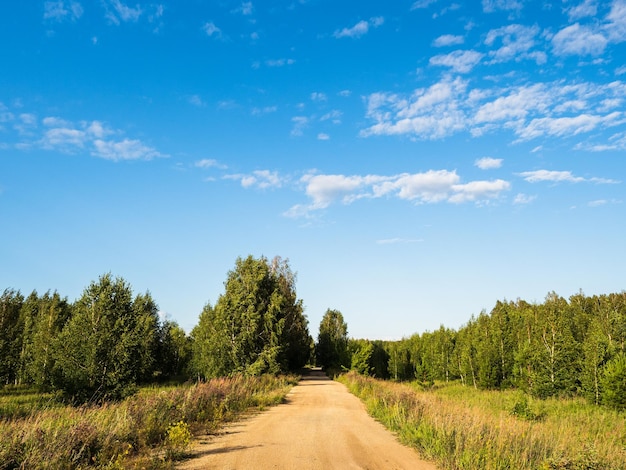 Una strada rurale tra la foresta di erba e il cielo estivo blu