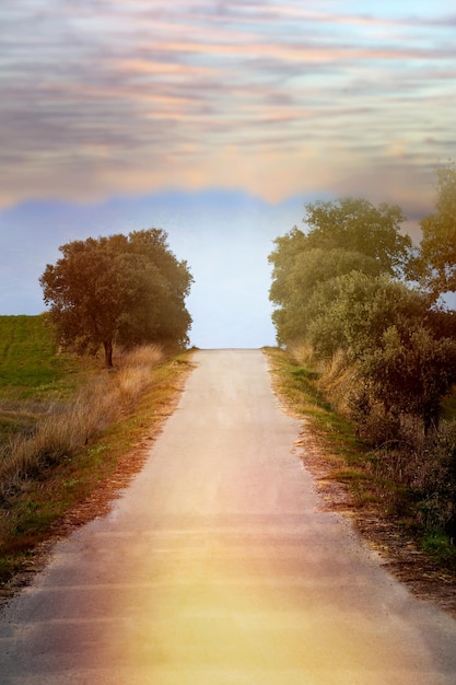 Una strada solitaria sotto una giornata di sole