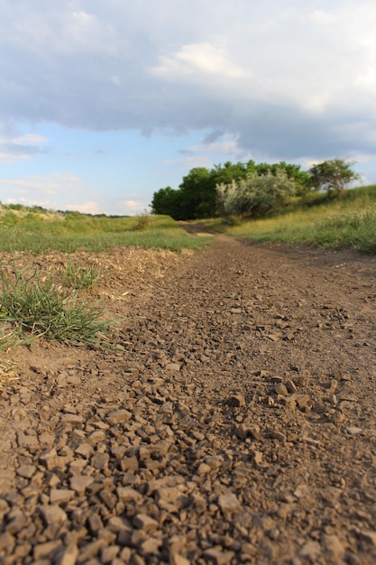 Una strada sterrata con erba e alberi sullo sfondo