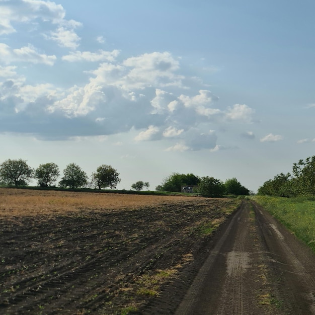 Una strada sterrata in un campo con un cartello che dice "la strada a destra"