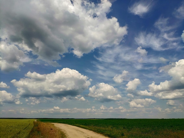 Una strada sterrata in un campo con un cielo blu e nuvole